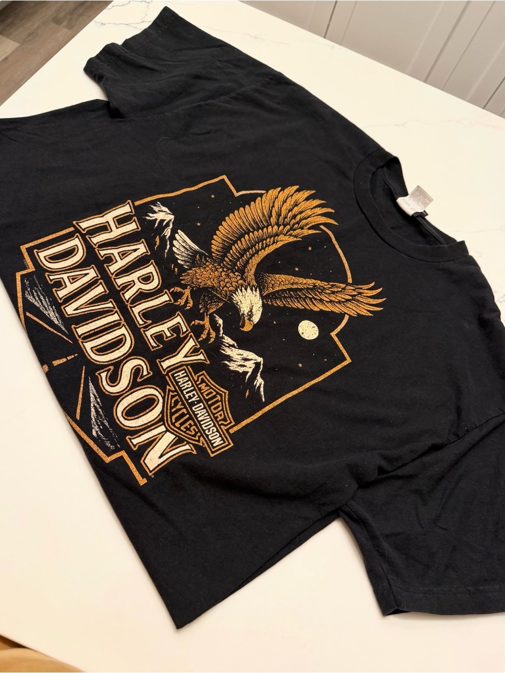 Harley-Davidson Black Tee with Gold Eagle and Mountain Graphic